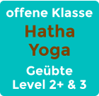 offene Klasse Hatha Yoga Geübte Level 2+ & 3