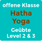 offene Klasse Hatha Yoga Geübte Level 2 & 3