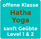 offene Klasse Hatha Yoga sanft Geübte Level 1 & 2