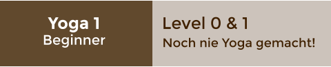 Yoga 1  Beginner Level 0 & 1 Noch nie Yoga gemacht!