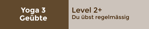 Yoga 3 Geübte Level 2+ Du übst regelmässig