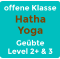 offene Klasse Hatha Yoga Geübte Level 2+ & 3