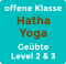 offene Klasse Hatha Yoga Geübte Level 2 & 3