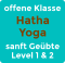 offene Klasse Hatha Yoga sanft Geübte Level 1 & 2