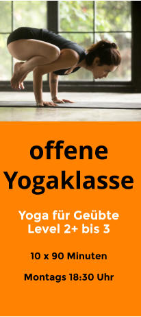 offene Yogaklasse  Yoga für Geübte Level 2+ bis 3   10 x 90 Minuten  Montags 18:30 Uhr
