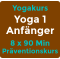Yogakurs Yoga 1 Anfänger 8 x 90 Min Präventionskurs