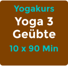 Yogakurs Yoga 3 Geübte 10 x 90 Min
