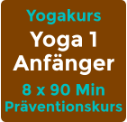 Yogakurs Yoga 1 Anfänger 8 x 90 Min Präventionskurs