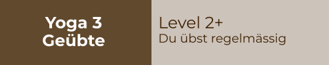 Yoga 3 Geübte Level 2+ Du übst regelmässig