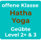 offene Klasse Hatha Yoga Geübte Level 2+ & 3