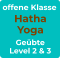 offene Klasse Hatha Yoga Geübte Level 2 & 3