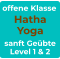 offene Klasse Hatha Yoga sanft Geübte Level 1 & 2