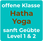 offene Klasse Hatha Yoga sanft Geübte Level 1 & 2