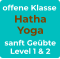 offene Klasse Hatha Yoga sanft Geübte Level 1 & 2