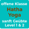 offene Klasse Hatha Yoga sanft Geübte Level 1 & 2