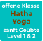 offene Klasse Hatha Yoga sanft Geübte Level 1 & 2