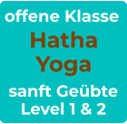 offene Klasse Hatha Yoga sanft Geübte Level 1 & 2