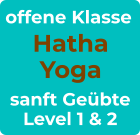offene Klasse Hatha Yoga sanft Geübte Level 1 & 2