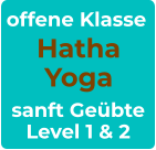 offene Klasse Hatha Yoga sanft Geübte Level 1 & 2