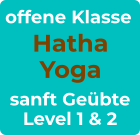 offene Klasse Hatha Yoga sanft Geübte Level 1 & 2