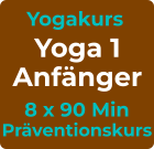 Yogakurs Yoga 1 Anfänger 8 x 90 Min Präventionskurs